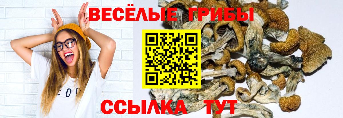 Узловая  где продают наркотики  Вход с VPN  Галлюциногенные грибы прущие грибы 