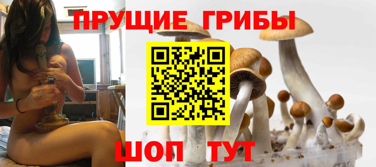 Галлюциногенные грибы мухоморы Узловая